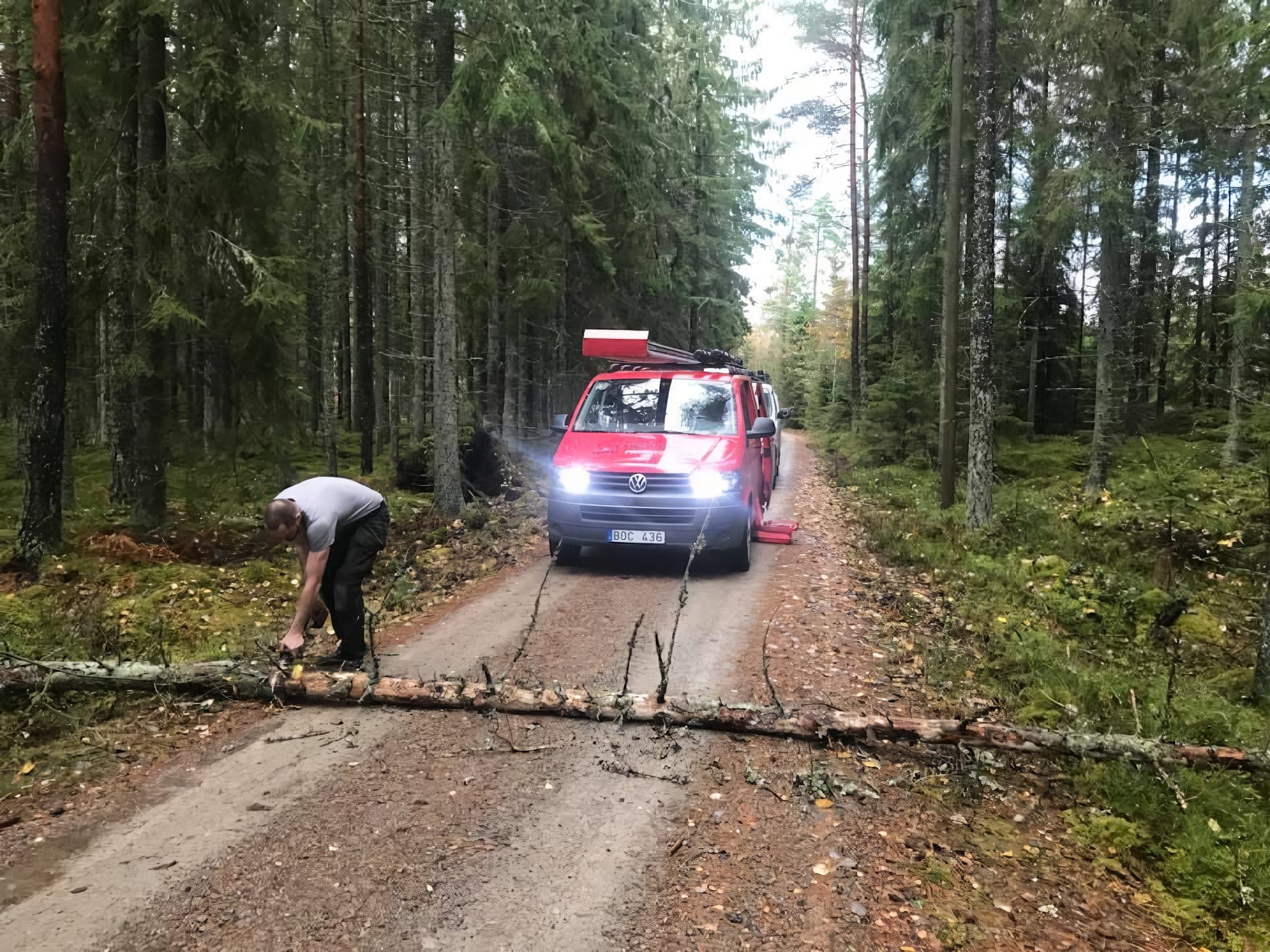 Röd servicebil på en skogsväg i arbetsområdet där ett nedfallet träd röjs undan.